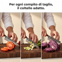 Set di Coltelli Damascati Shikku